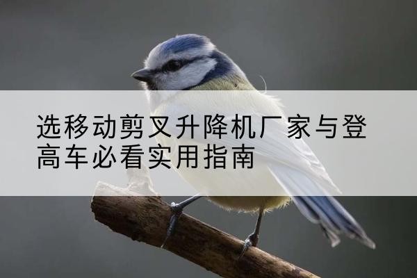 平顺电动升降机厂家-选移动剪叉升降机厂家与登高车必看实用指南