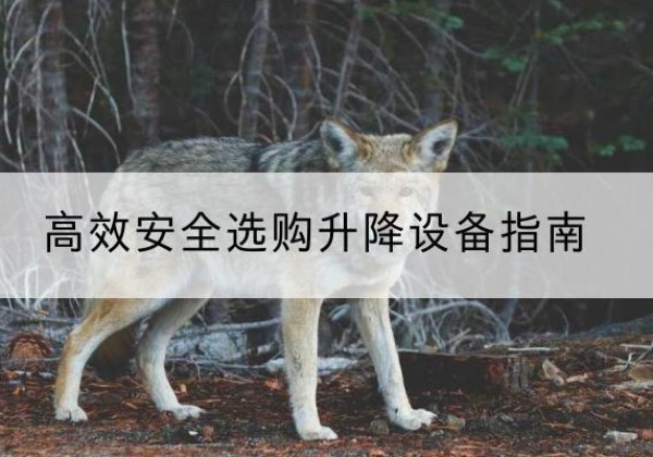 平顺升降货梯厂家推荐-*安全选购升降设备指南