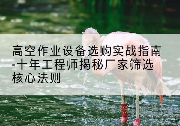 平顺剪叉式升降机厂家-高空作业设备选购实战指南-十年工程师揭秘厂家筛选核心法则